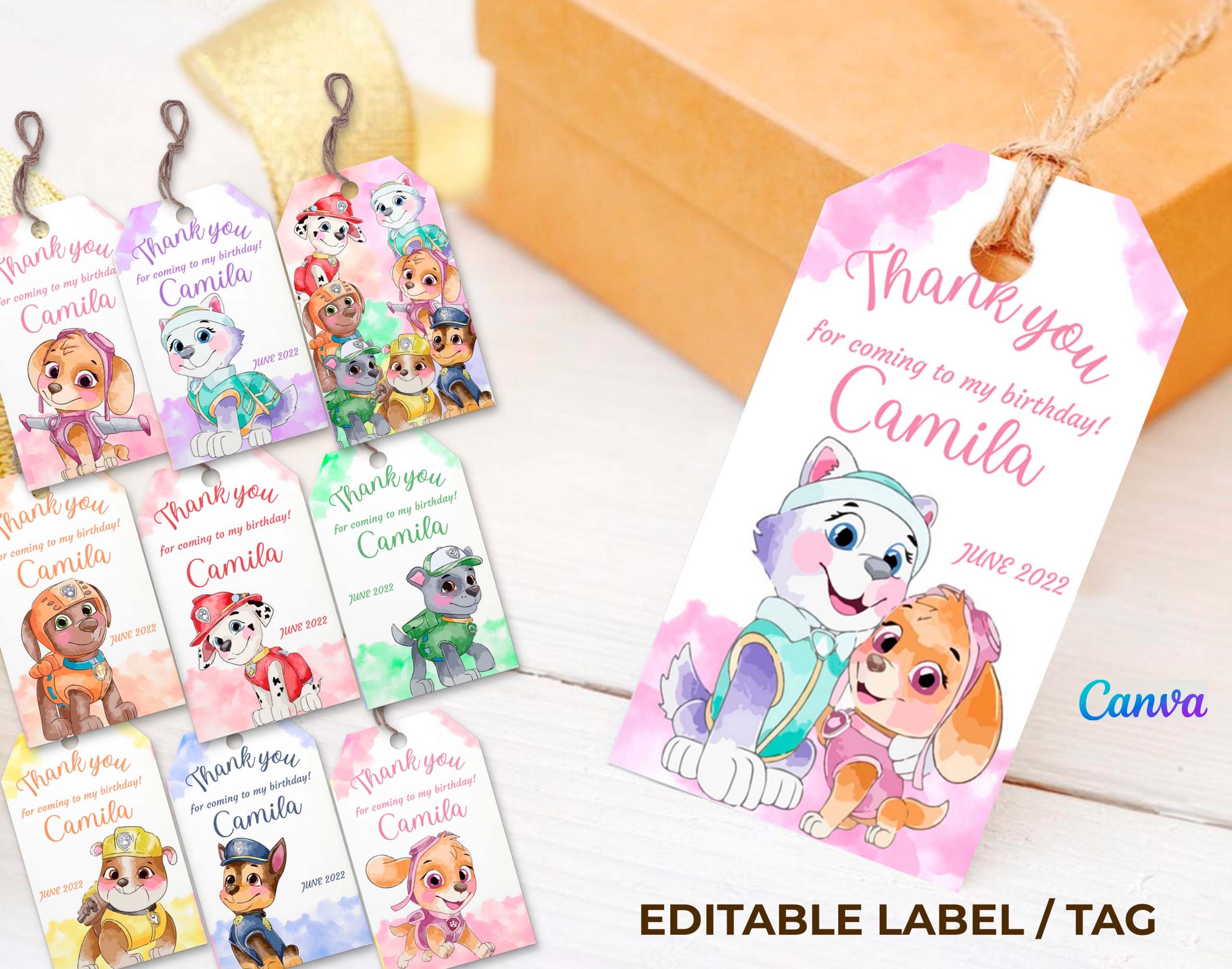 Printable Birthday Gift Tag Template Paw Patrol