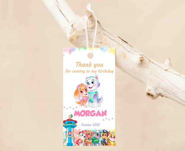 Skye Everest Paw Patrol Editable Invitation Template - Image 4