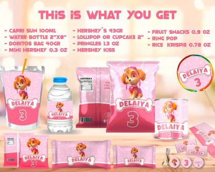 Paw Patrol Skye Birthday Party Kit