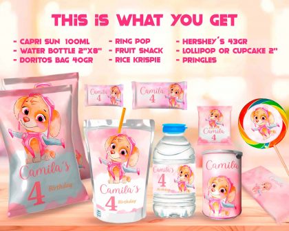 Paw Patrol Skye Birthday Party Kit