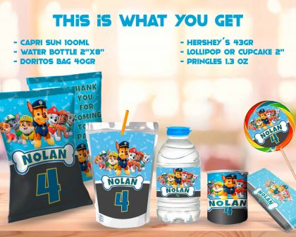 Paw Patrol Blue Birthday Party Kit