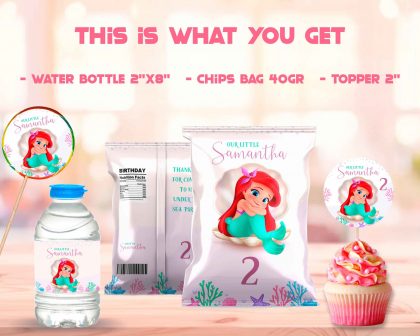 Little Mermaid Birthday Party Kit