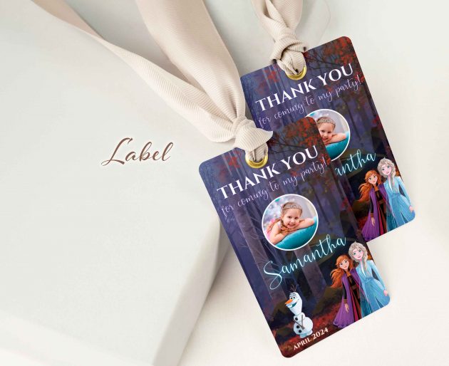 Frozen Template Invitation - Image 5